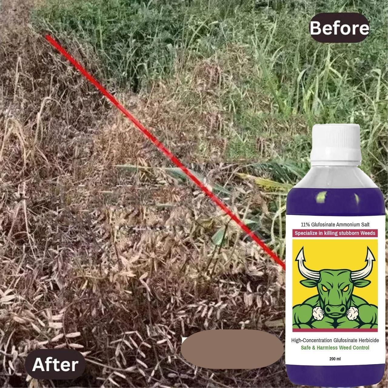 High-Concentration Glufosinate Herbicide All Crops,Organic (Pack of 2)