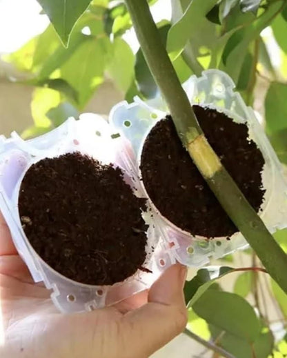 Reusable Plant Root Growth Balls with Locks (Pack of 5)